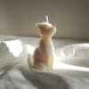 Chat lumineux