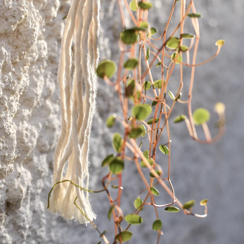 Jardin aérien M - Blanc cassé – Image 3