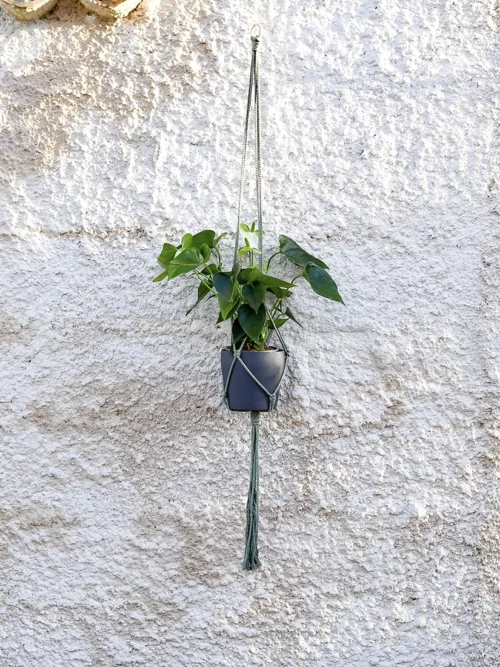 Jardin aérien XL - Vert avocat