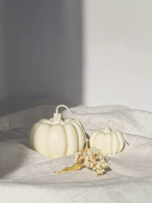 Citrouilles lumineuses