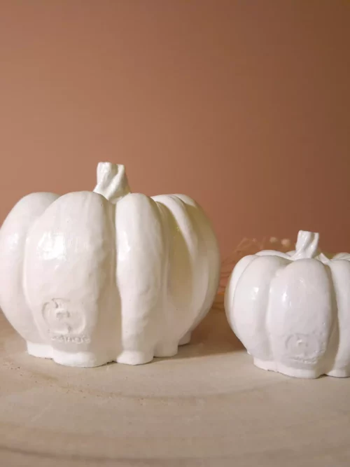 Citrouilles d'intérieur