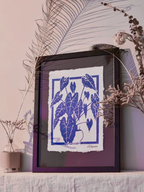 L'Alocasia