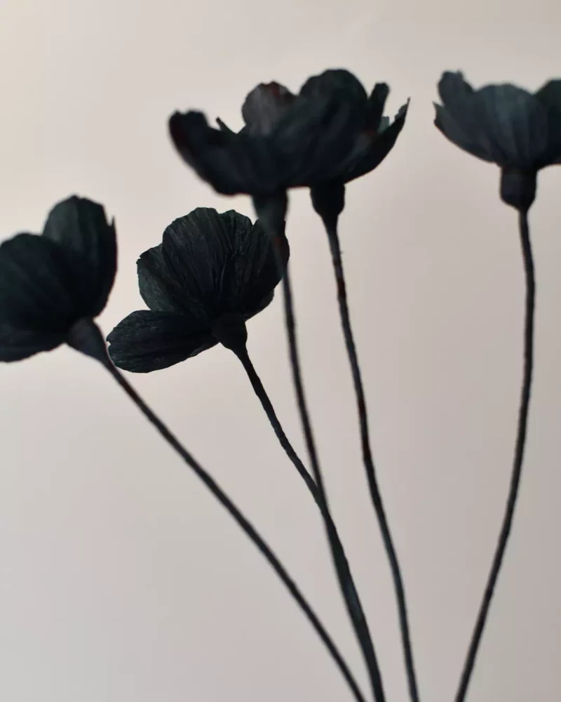 Bouquet de cosmos noir – Image 5