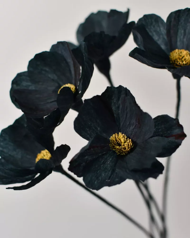 Fleur en papier bouquet de cosmos noir