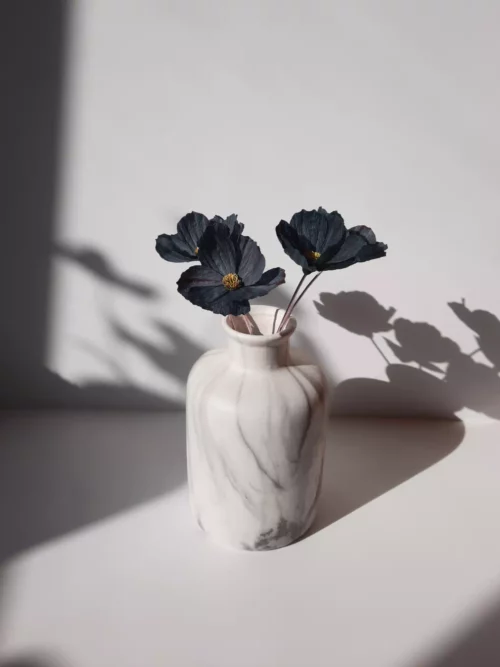 Fleur de cosmos noir