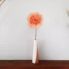 Fleur spontanée Pomponia