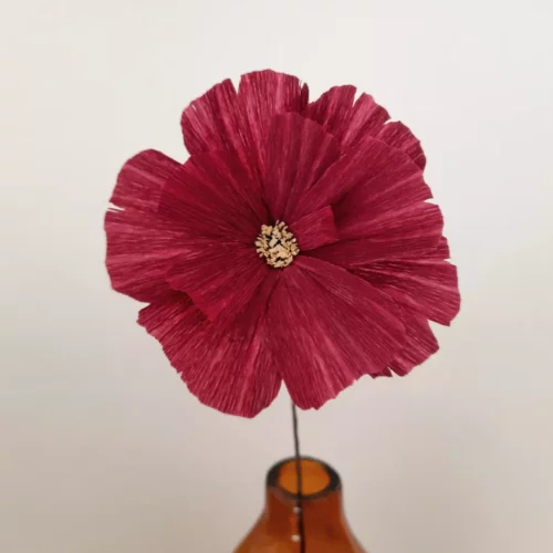 Cosmos solo violet intense