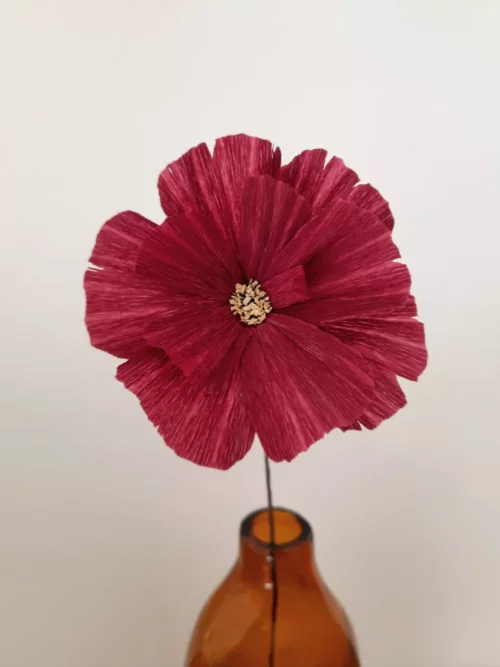Cosmos solo violet intense