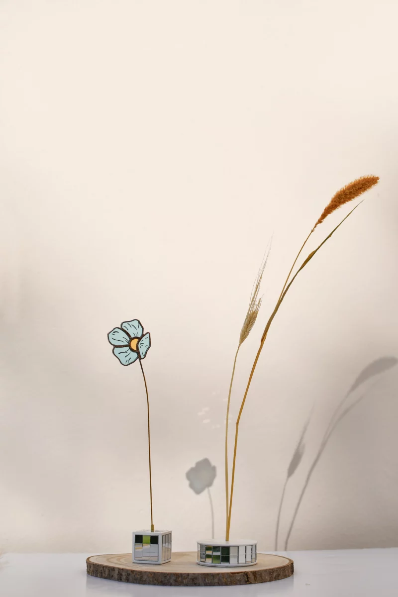 Solipods – Image 4
