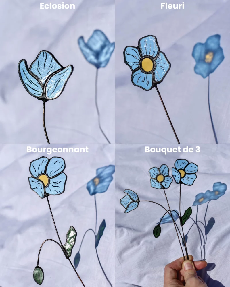 Coquelicot bleu – Image 6
