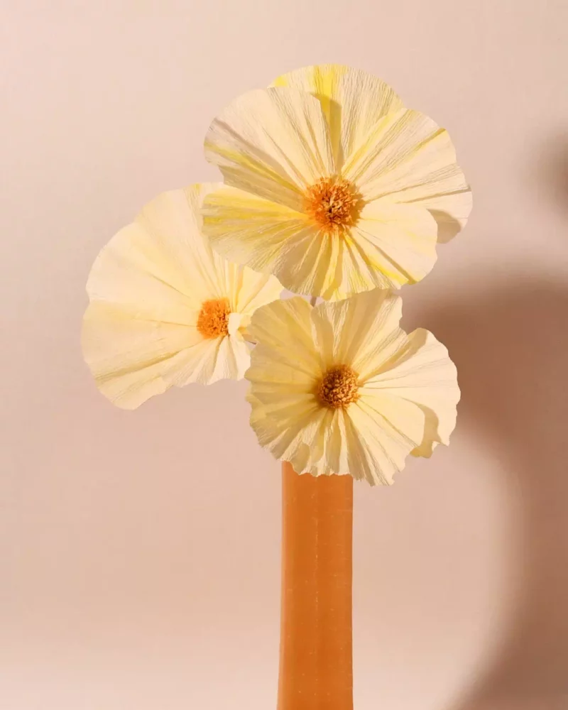 Bouquet Eclat Solaire – Image 5