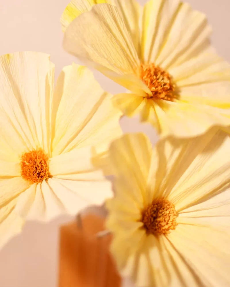 Bouquet Eclat Solaire – Image 7