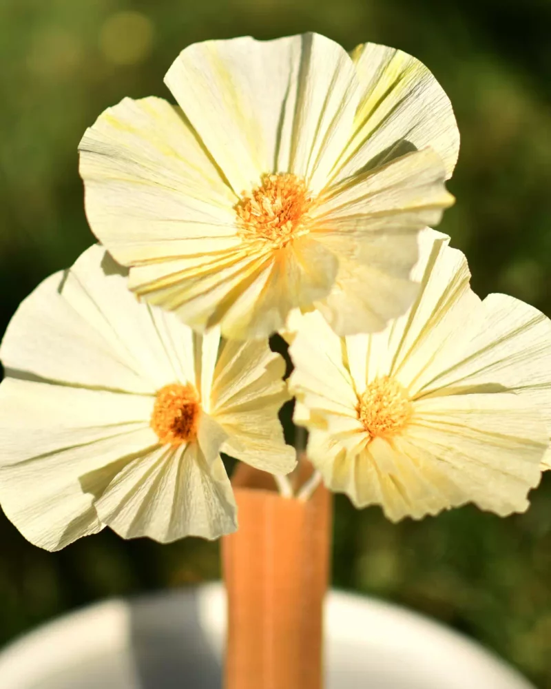 Bouquet Eclat Solaire – Image 4