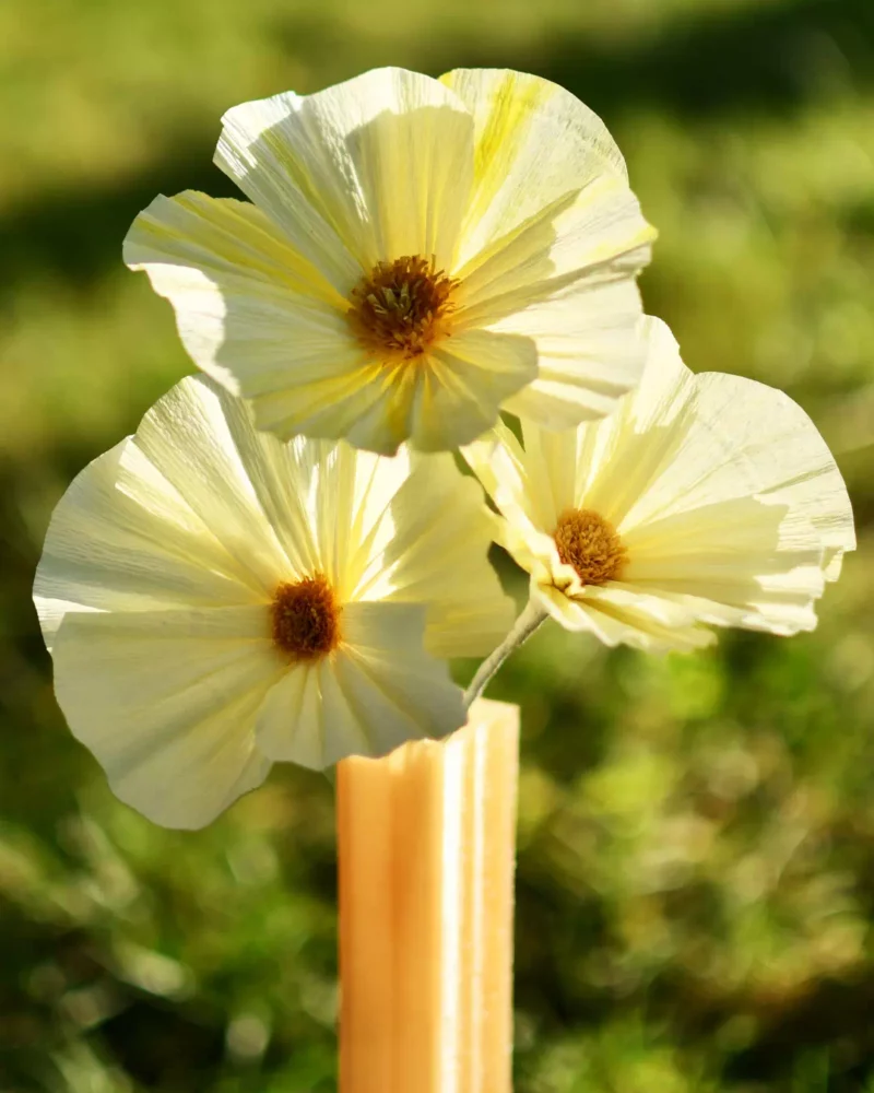 Bouquet Eclat Solaire – Image 2