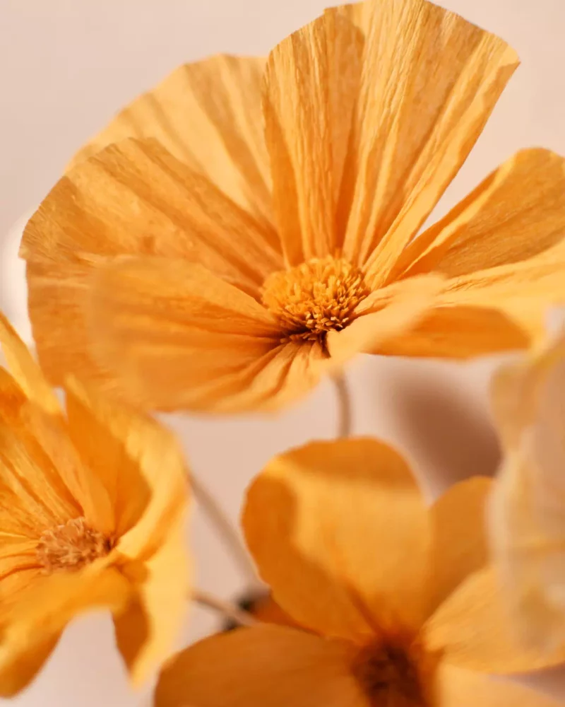 Bouquet Éveil Doré – Image 6