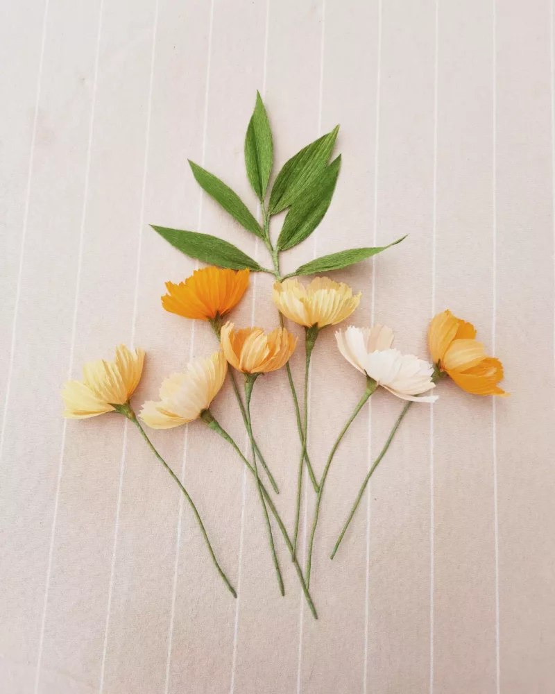Bouquet de 7 cosmos – Élan végétal – Image 6