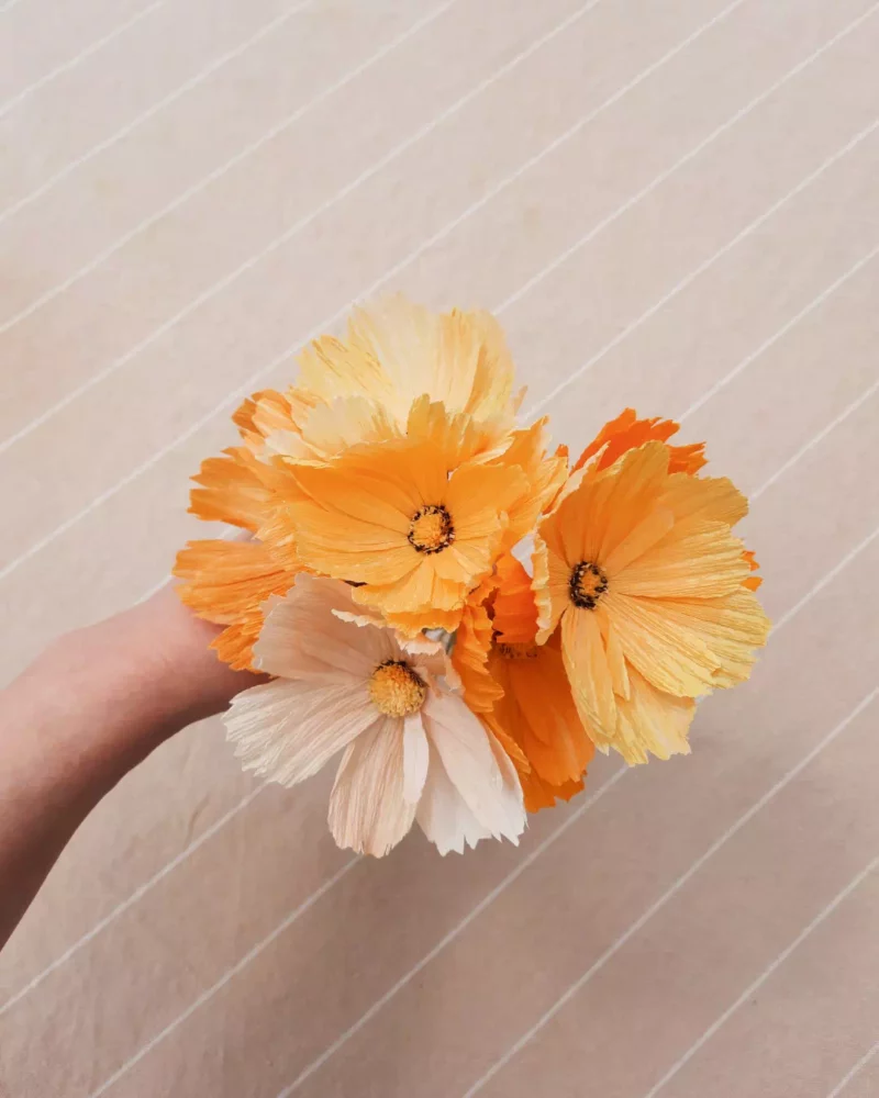 Bouquet de 7 cosmos – Élan végétal – Image 5