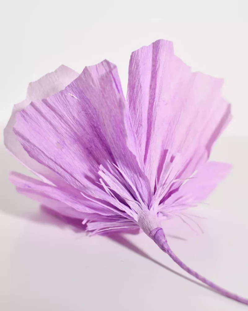 Fleur spontanée Mauvina – Image 6
