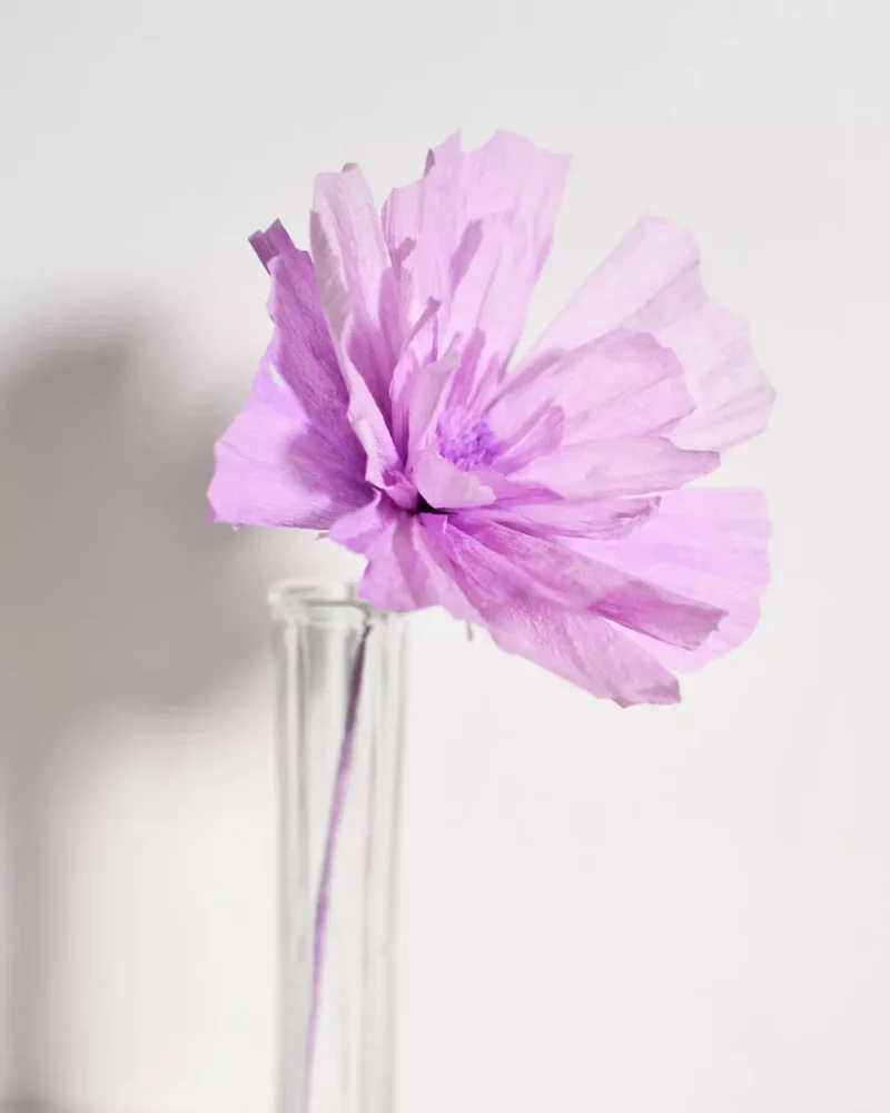 Fleur spontanée Mauvina – Image 4