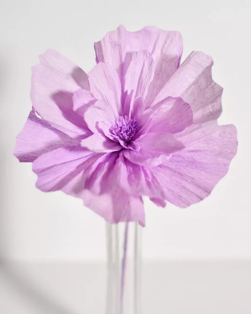 Fleur spontanée Mauvina – Image 3