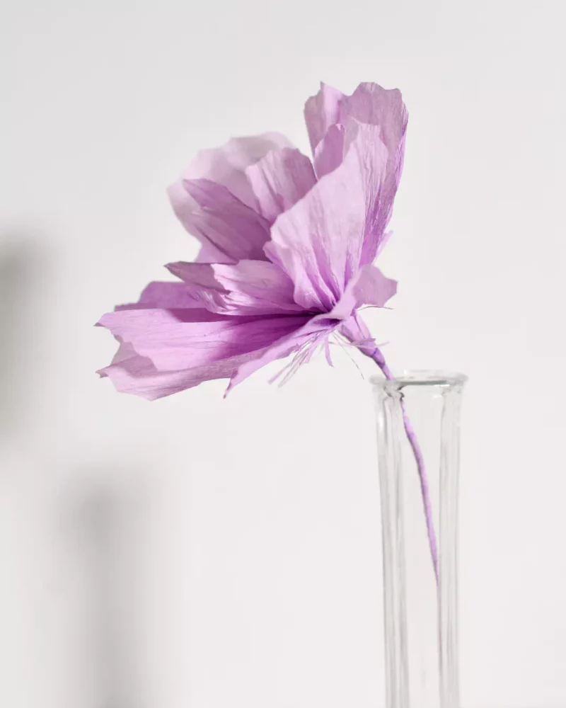Fleur spontanée Mauvina – Image 5