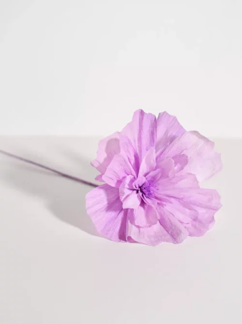 Fleur spontanée Mauvina
