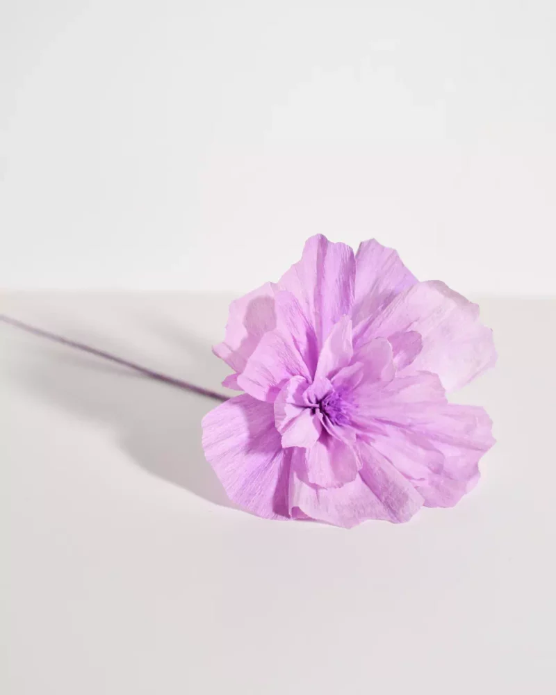 Fleur spontanée Mauvina