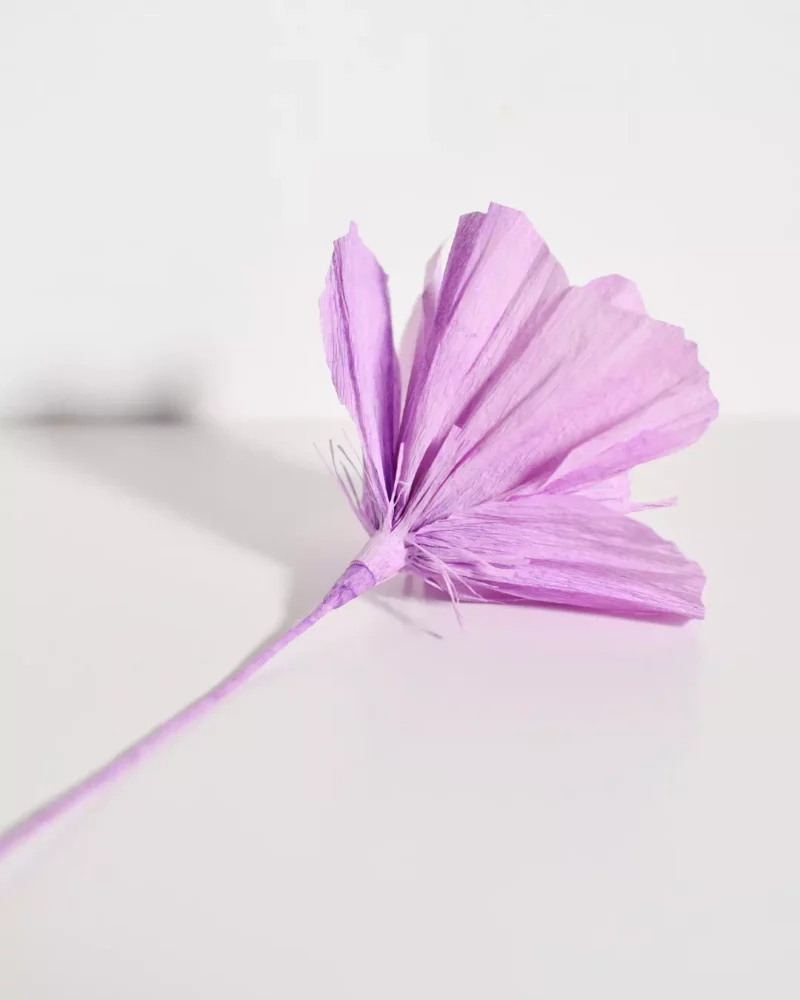 Fleur spontanée Mauvina – Image 7