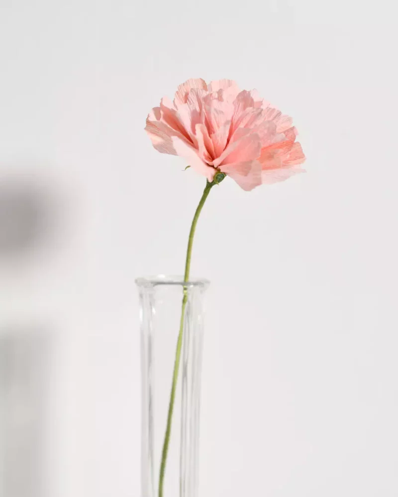 Élan rosé – Image 4