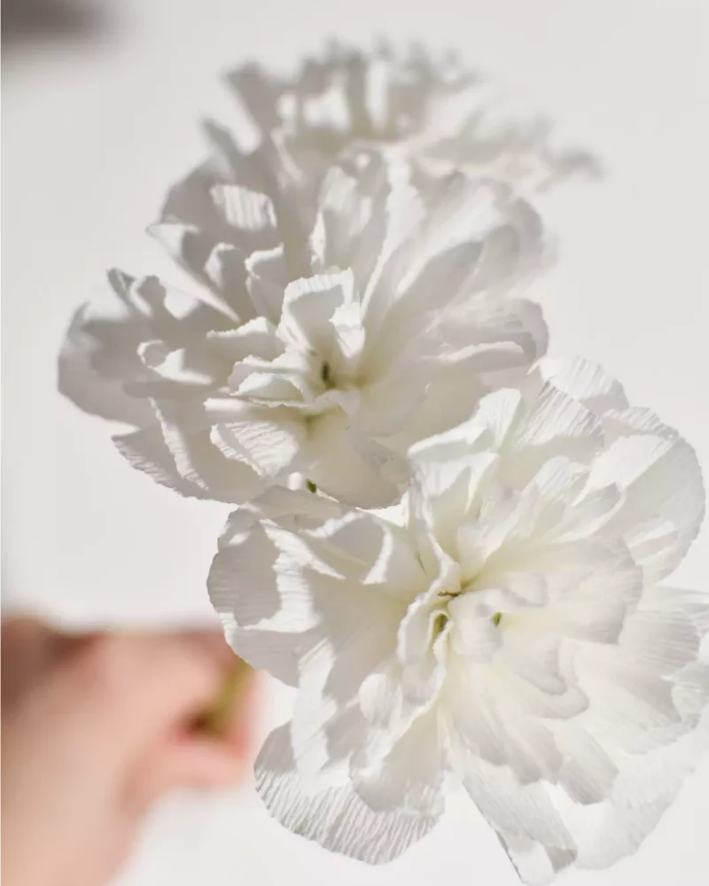 Trio Blanc Pur – Œillets en papier – Image 4