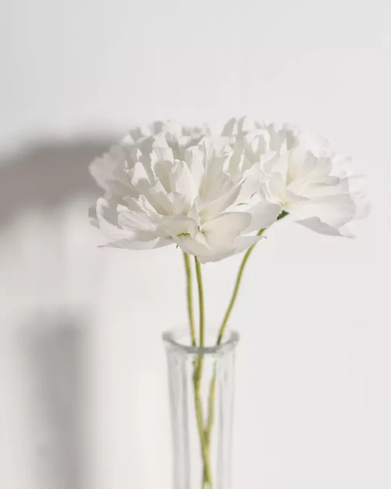 Trio Blanc Pur – Œillets en papier – Image 2