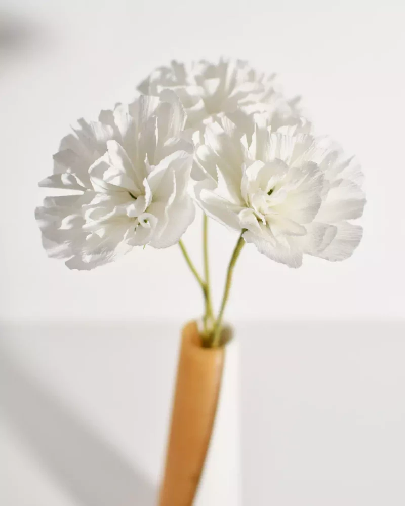 Trio Blanc Pur – Œillets en papier – Image 3