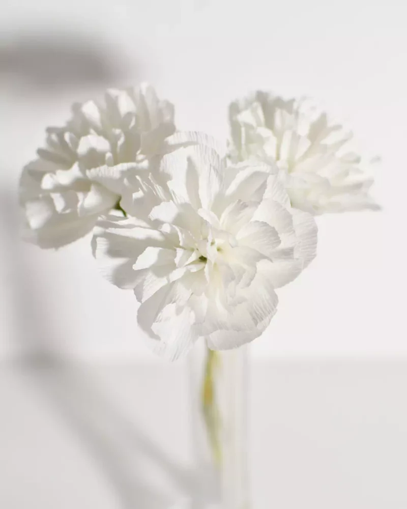 Trio Blanc Pur – Œillets en papier – Image 7