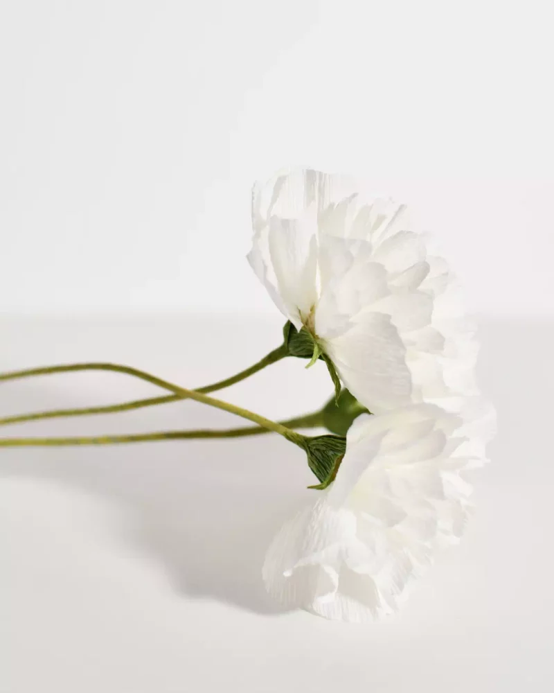 Trio Blanc Pur – Œillets en papier – Image 6