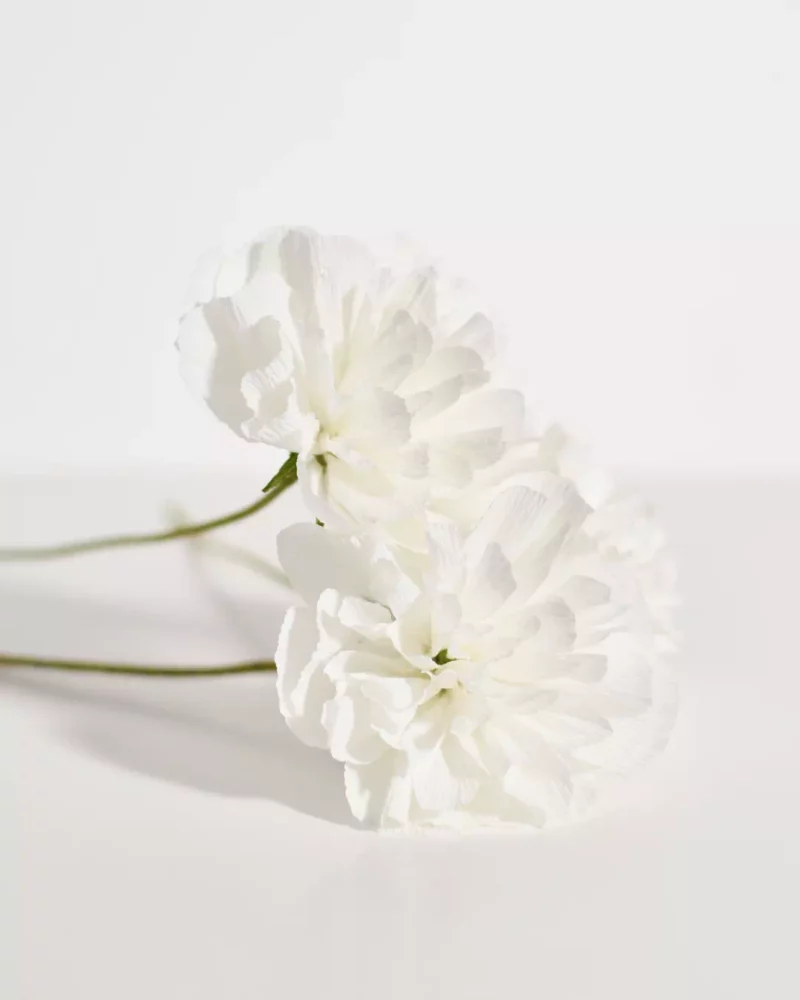 Trio Blanc Pur – Œillets en papier – Image 5