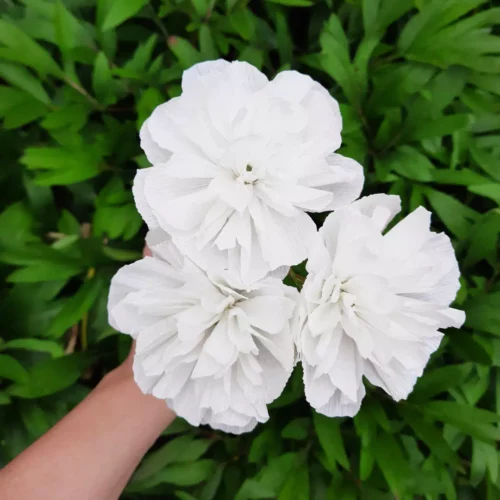 Trio Blanc Pur – Œillets en papier