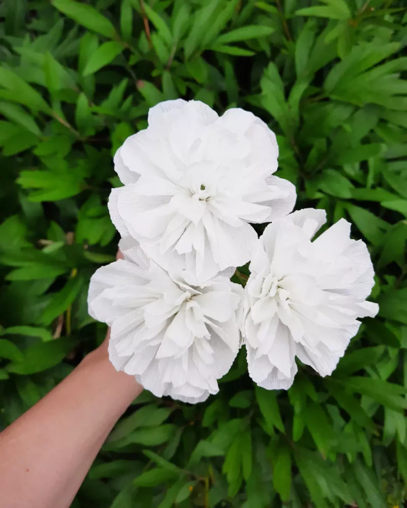 Trio Blanc Pur – Œillets en papier