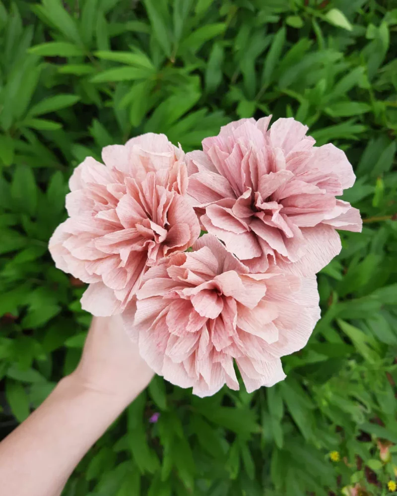 Trio Rosé – Œillets en papier – Image 7