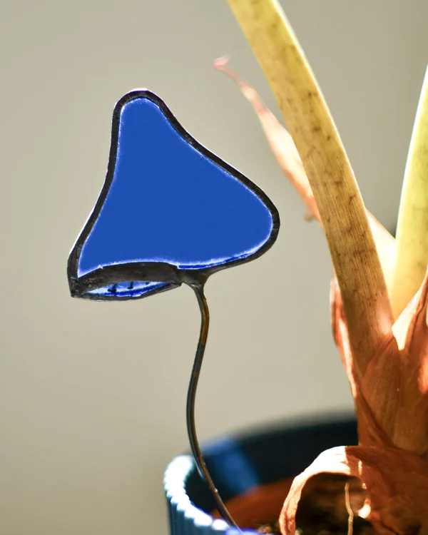 vitrail-tiffany-champignon-bleu-ensemble-Solo-plante Vitrail Champignon bleu