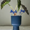 vitrail-tiffany-champignon-bleu-ensemble-plante Vitrail Champignon bleu