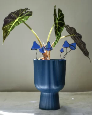 vitrail-tiffany-champignon-bleu-ensemble-plante Vitrail Champignon bleu