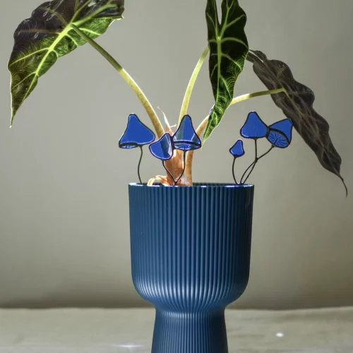 Champignon bleu