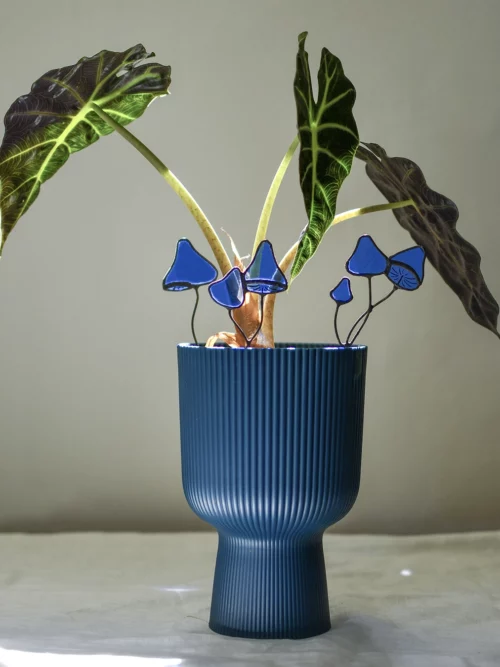 Champignon bleu