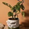 Cache-pot 10Ø