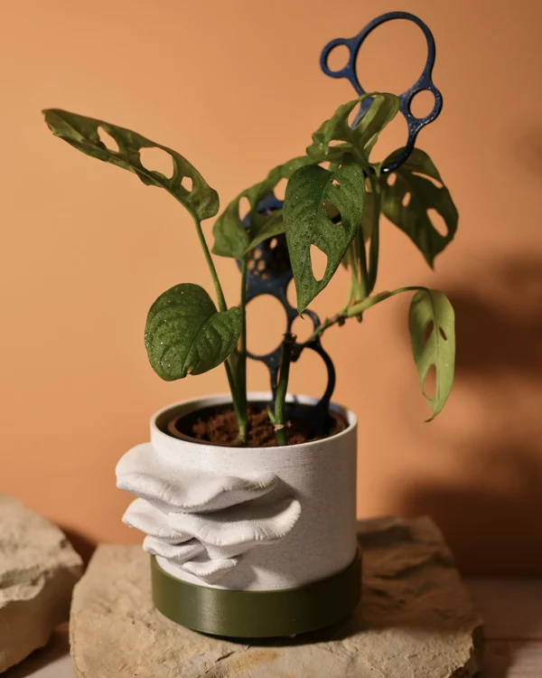 Cache-pot 10Ø
