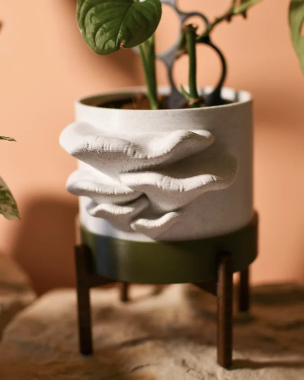 Cache-pot 10Ø