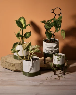 Cache-pot 10Ø