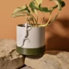 Cache-pot 10Ø