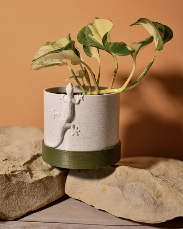 Cache-pot 10Ø