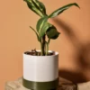Cache-pot 10Ø